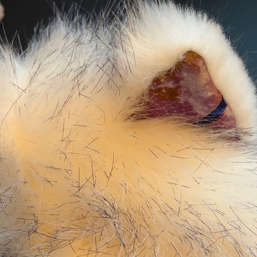SpiritHoods White Faux Fur Hood with Kitty Ears Collectors Edition - Picture 11 of 16